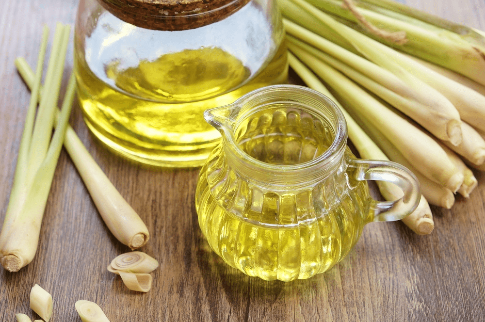 Benefits of lemongrass essential oil for hair Hair Worlds