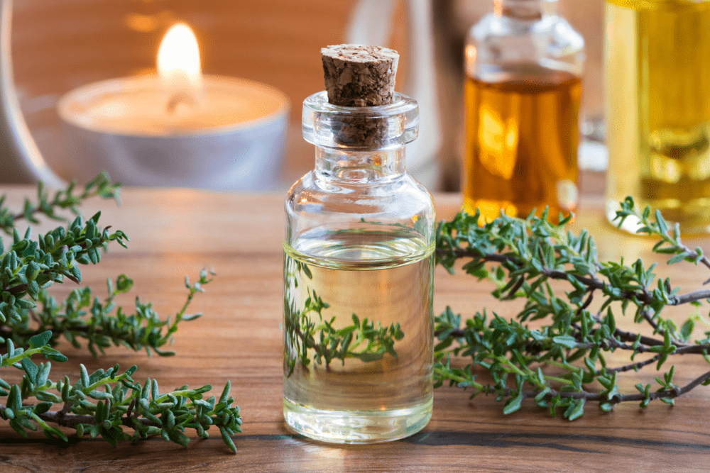 thyme essential oil