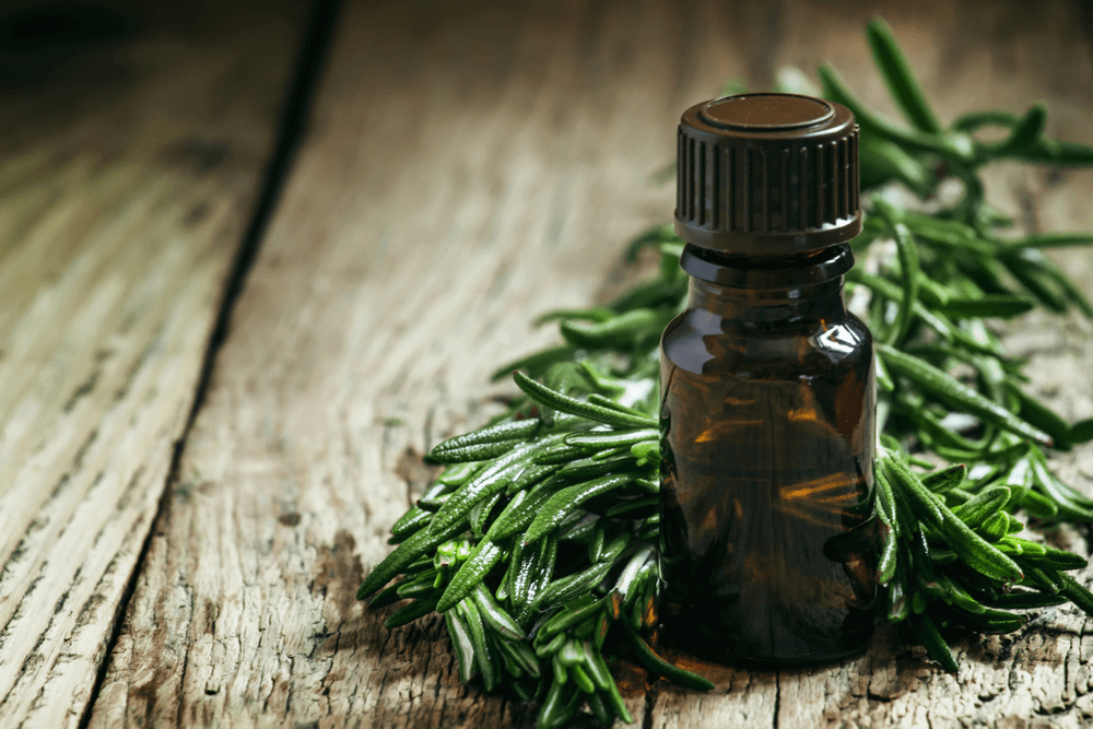 Benefits of rosemary essential oil for hair Hair Worlds