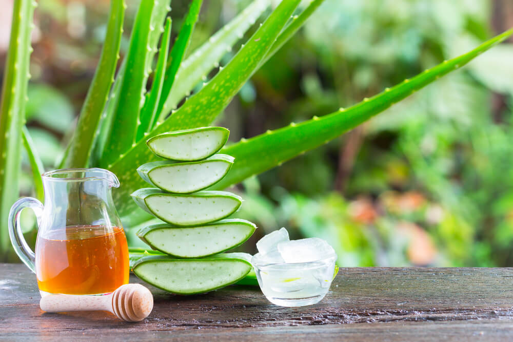 Aloe Vera and honey