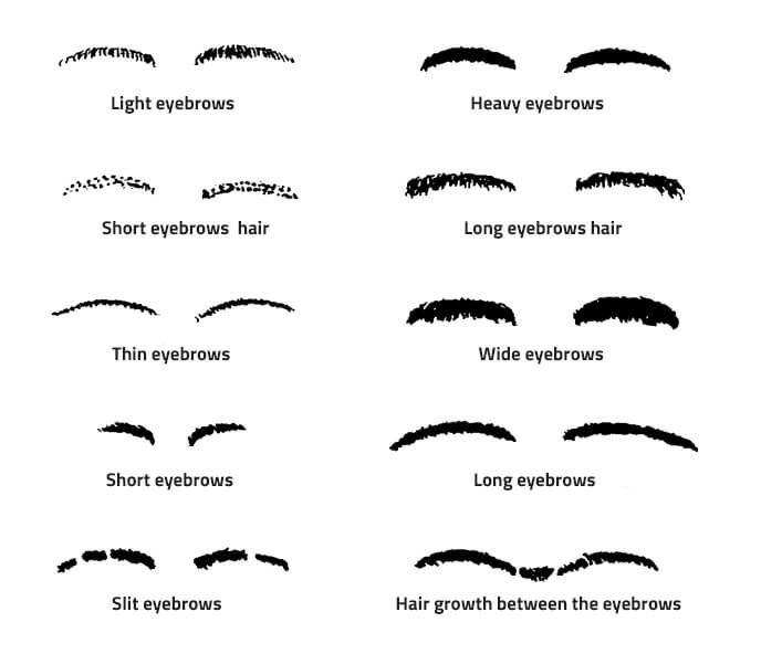 different shapes of eyebrows