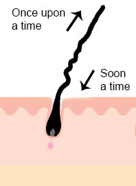 strand of head hair explains the forms of growth in the past and in the present